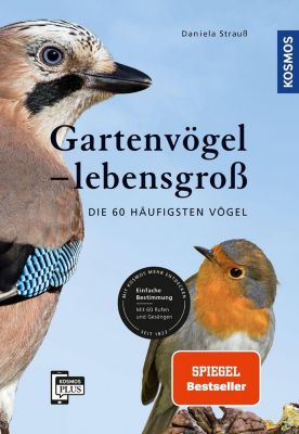 Gartenvögel lebensgroß - Daniela Strauß | 