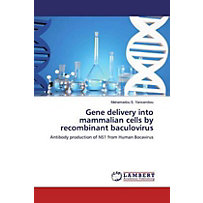 Gene delivery into mammalian cells by recombinant baculovirus Gene delivery into mammalian cells by recombinant baculovirus