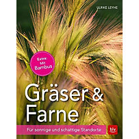 Gräser & Farne Gräser & Farne