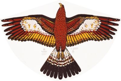 Günther "Goldadler", Drachen