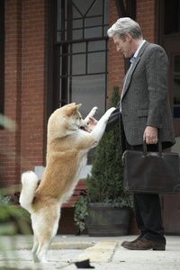 Hachiko Eine Wunderbare Freundschaft