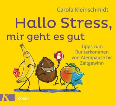 Hallo Stress, mir geht es gut - Carola Kleinschmidt | 