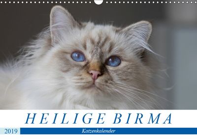 Heilige Birma Katzen Wandkalender 2019 Din A3 Quer