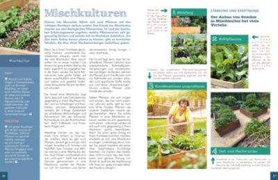 Hochbeete Co In Meinem Garten Buch Versandkostenfrei Bei