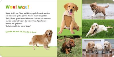 Hor Mal Rein Wer Kann Das Sein Haustiere Buch Versandkostenfrei