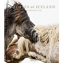 Horses of Iceland Horses of Iceland