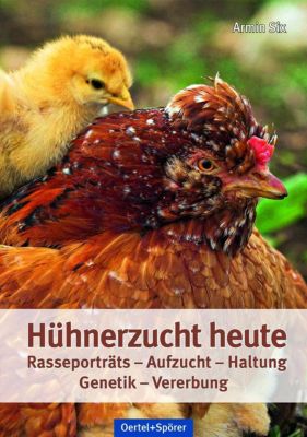 Hühnerzucht heute - Armin Six | 