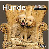 Hunde 2020 Hunde 2020