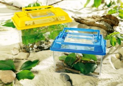 Insektenbox, 2er-Set jetzt bei Weltbild.de bestellen