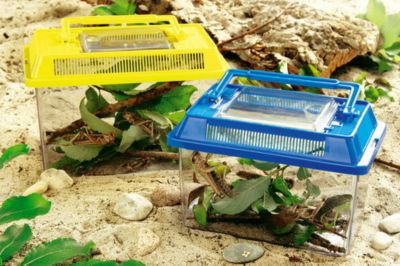 Insektenbox, 2er-Set jetzt bei Weltbild.ch bestellen