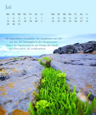 Irische Segenswünsche 2019 Postkartenkalender PDF