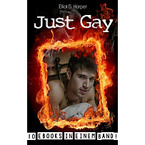 Just Gay - 10 eBooks in einem Band! (Gay Erotik) Just Gay - 10 eBooks in einem Band! (Gay Erotik)