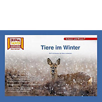 Kamishibai: Tiere im Winter Kamishibai: Tiere im Winter