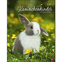 Kaninchenkinder Posterkalender 2020 Kaninchenkinder Posterkalender 2020