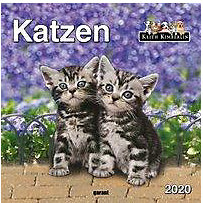 Katzen 2020 Katzen 2020