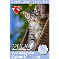 Katzen-Tageskalender 2020 Katzen-Tageskalender 2020