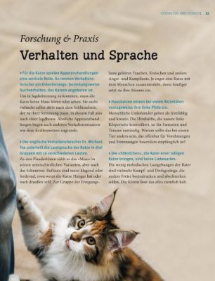 Katzen Verhalten Pflege Ernahrung Beschaftigung Weltbild
