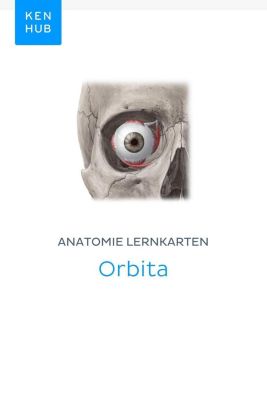Kenhub Lernkarten: 31 Anatomie Lernkarten: Orbita