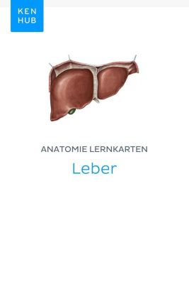 Kenhub Lernkarten: 37 Anatomie Lernkarten: Leber