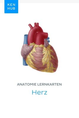Kenhub Lernkarten: 48 Anatomie Lernkarten: Herz