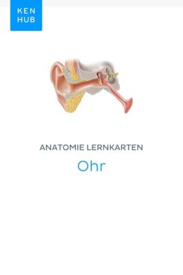 Kenhub Lernkarten: 49 Anatomie Lernkarten: Ohr