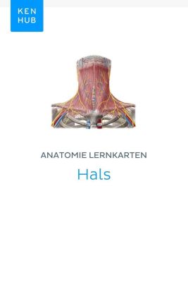Kenhub Lernkarten: 65 Anatomie Lernkarten: Hals