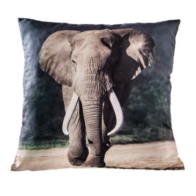 Kissenhülle Elefant, 40 x 40 cm jetzt bei Weltbild.at bestellen Kissenhülle Elefant, 40 x 40 cm jetzt bei Weltbild.at bestellen