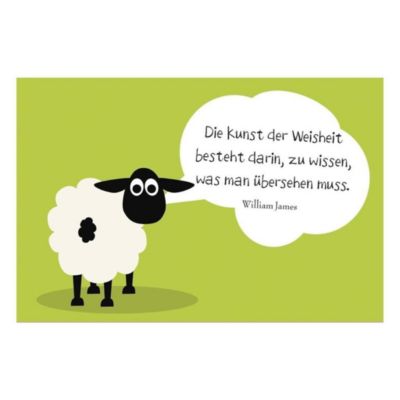 Kopf hoch! Das SCHAFst du Buch bei Weltbild.de bestellen