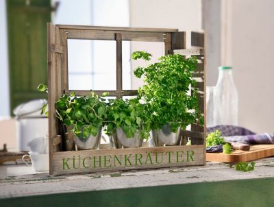 Fenster Regal Fur Krauter – Caseconrad.com