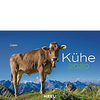 Kühe 2020 Kühe 2020