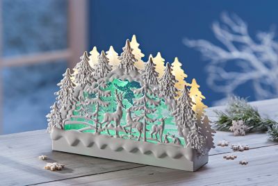 Led Schwibbogen Schneegestöber Jetzt Bei Weltbildde Bestellen