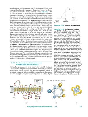 Lehninger Biochemie Buch von David L. Nelson versandkostenfrei bestellen
