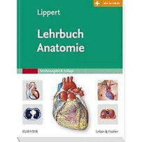 Lehrbuch Anatomie Lehrbuch Anatomie