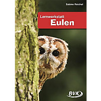 Lernwerkstatt Eulen Lernwerkstatt Eulen