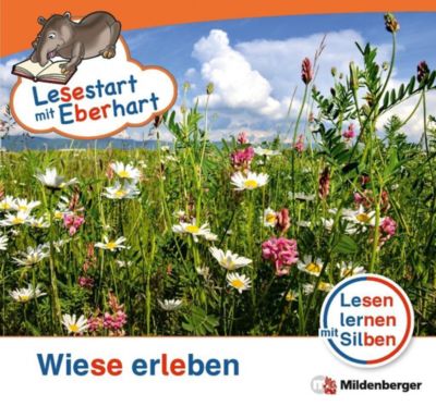 Lesestart Mit Eberhart Lesestufe 2 H2 Wiese Erleben - 