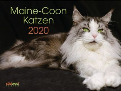 Maine Coon Katzen Wandkalender 2020 Kalender Bei Weltbildch