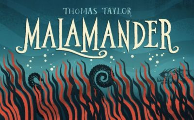malamander by thomas taylor