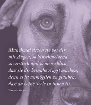 Mehr als nur ein Hund Buch von Anne Seven versandkostenfrei Weltbild.de