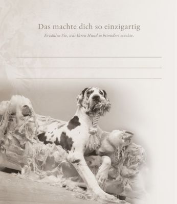 Mehr Als Nur Ein Hund Buch Von Anne Seven Versandkostenfrei