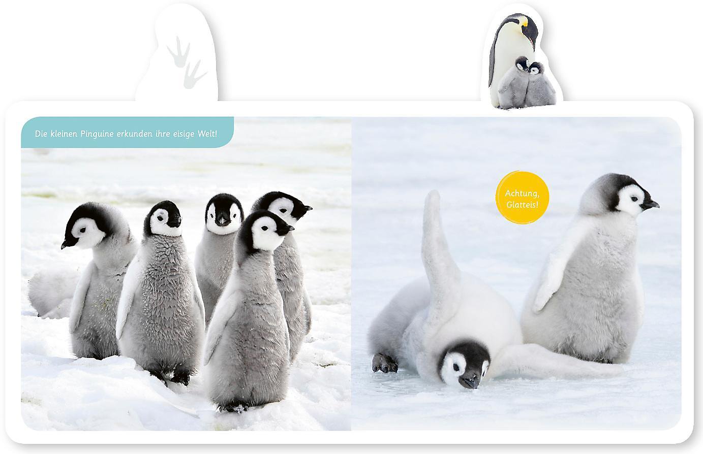 Der Pinguin Der Pinguin