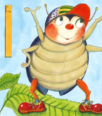 Millimeter, Zentimeter - Donnerwetter! Buch - Weltbild.at