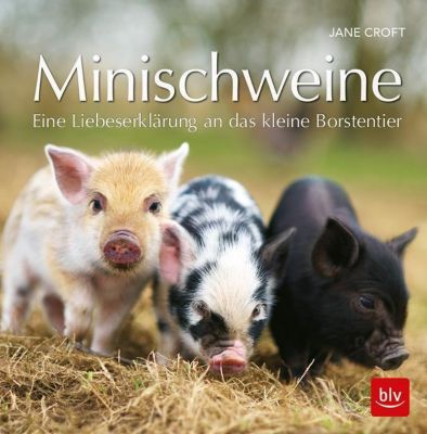Minischweine - Jane Croft | 