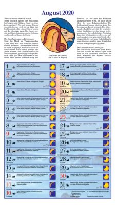 Mond Im Einklang Kalender 2020 Kalender Bei Weltbildde Kaufen