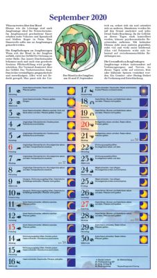 Mond Im Einklang Kalender 2020 Kalender Bei Weltbildde Kaufen