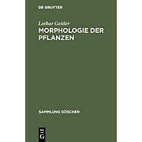 Morphologie der Pflanzen Morphologie der Pflanzen