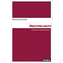 Multipolarity Multipolarity