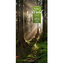 Mythos Wald 2020 Mythos Wald 2020