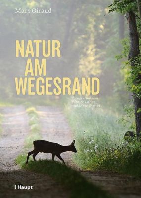 Natur am Wegesrand - Marc Giraud | 