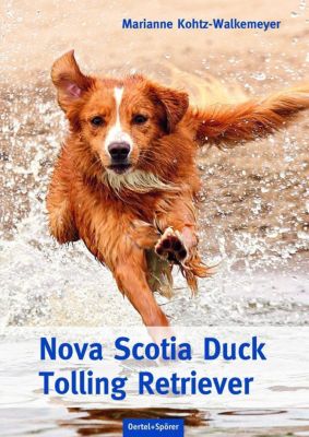 Nova Scotia Duck Tolling Retriever - Marianne Kohtz-Walkemeyer | 