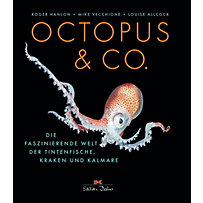 Octopus & Co. Octopus & Co.